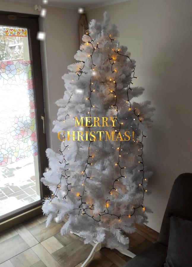 Domek Brenia Daire Brenna Dış mekan fotoğraf